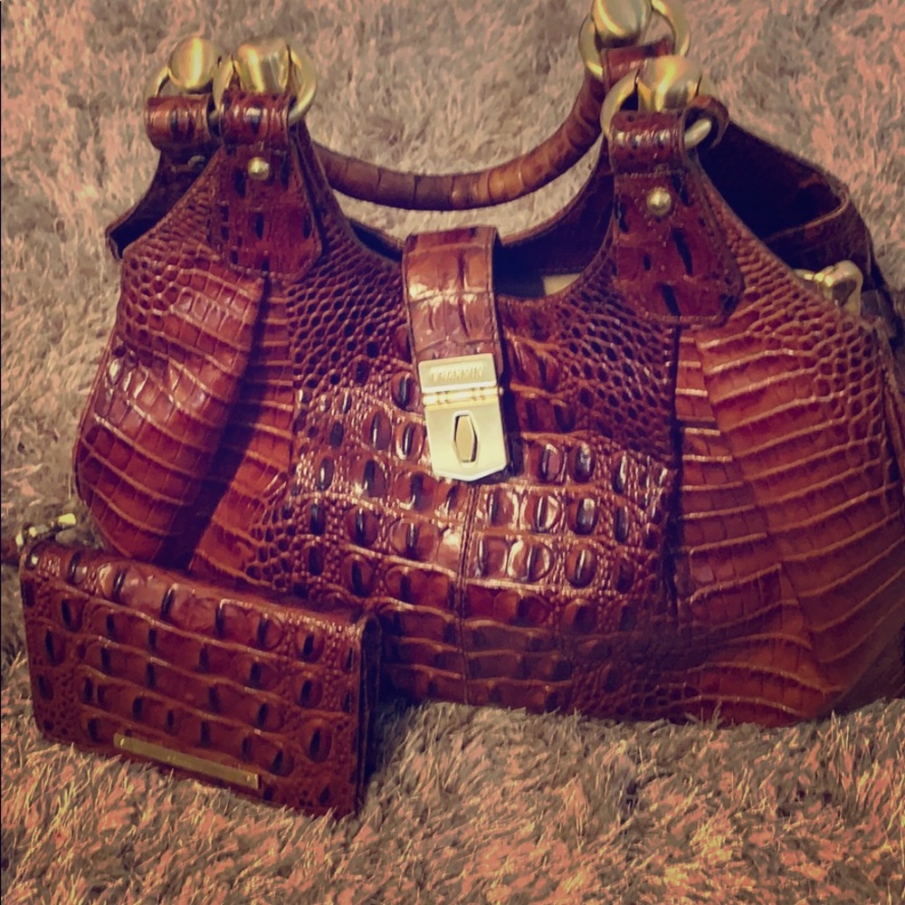 Brahmin bag &wallet